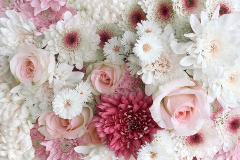 Papermoon Fototapete »ROSEN-GÄNZEBLÜMCHEN BLUME PFLANZE STRAUss MAKRO NATUR« von Papermoon