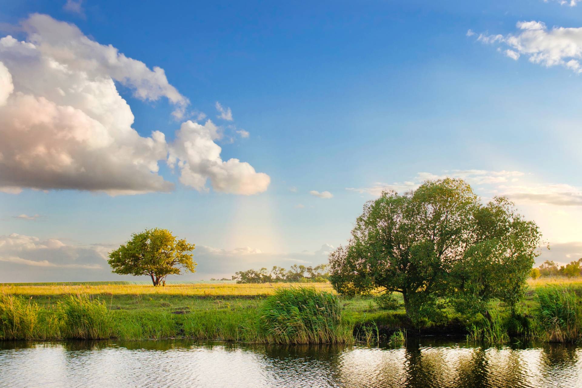 Papermoon Fototapete »River Tree Landscape« von Papermoon