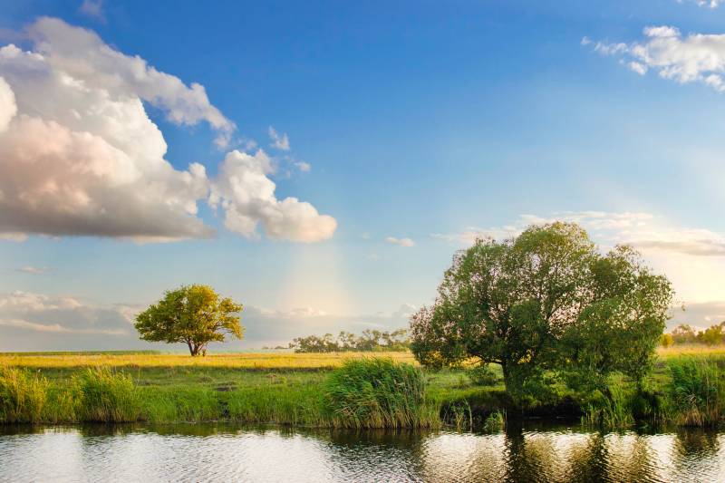 Papermoon Fototapete »River Tree Landscape« von Papermoon