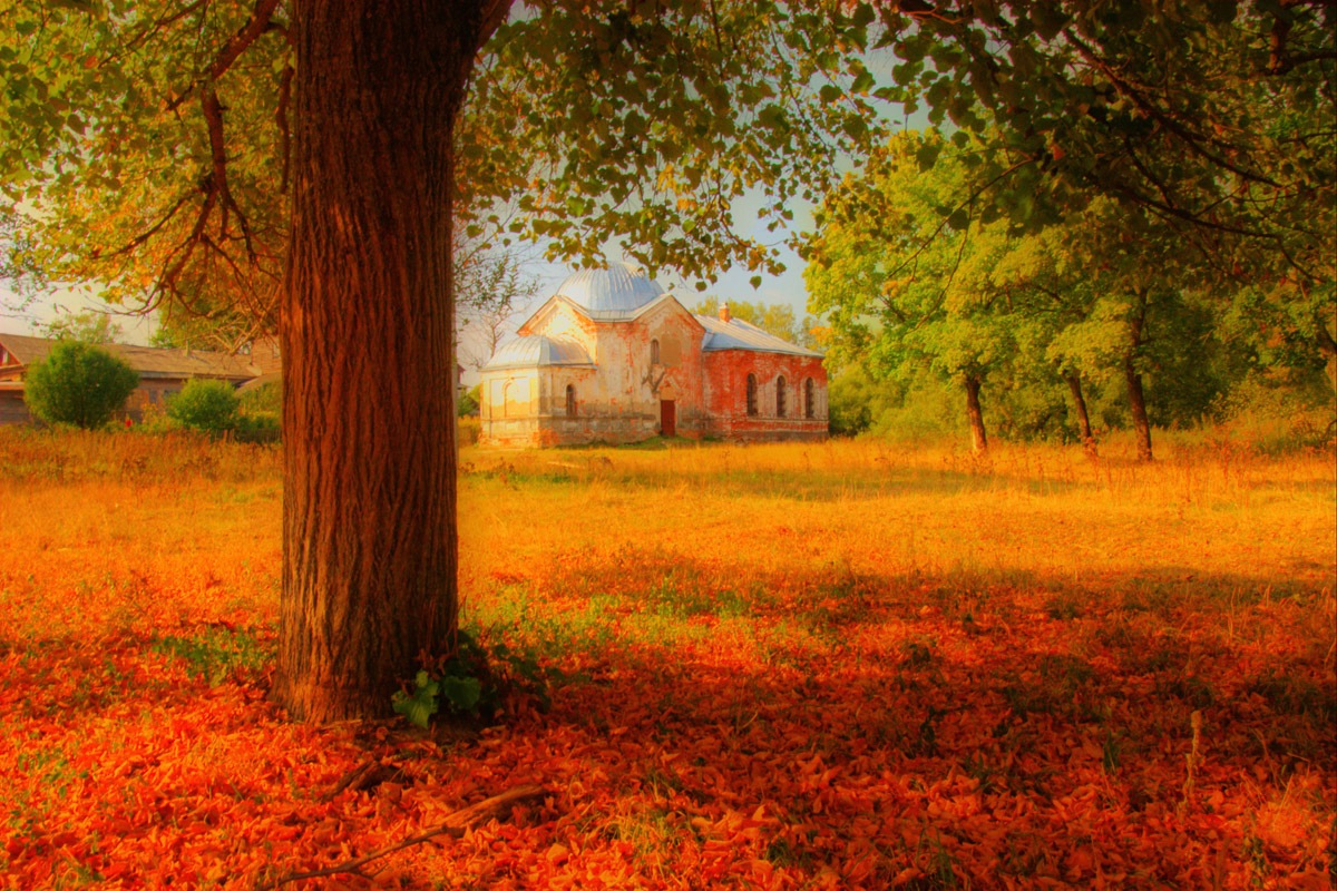 Papermoon Fototapete »Herbstlandschaft« Papermoon Fototapete »Herbstlandschaft« von Papermoon