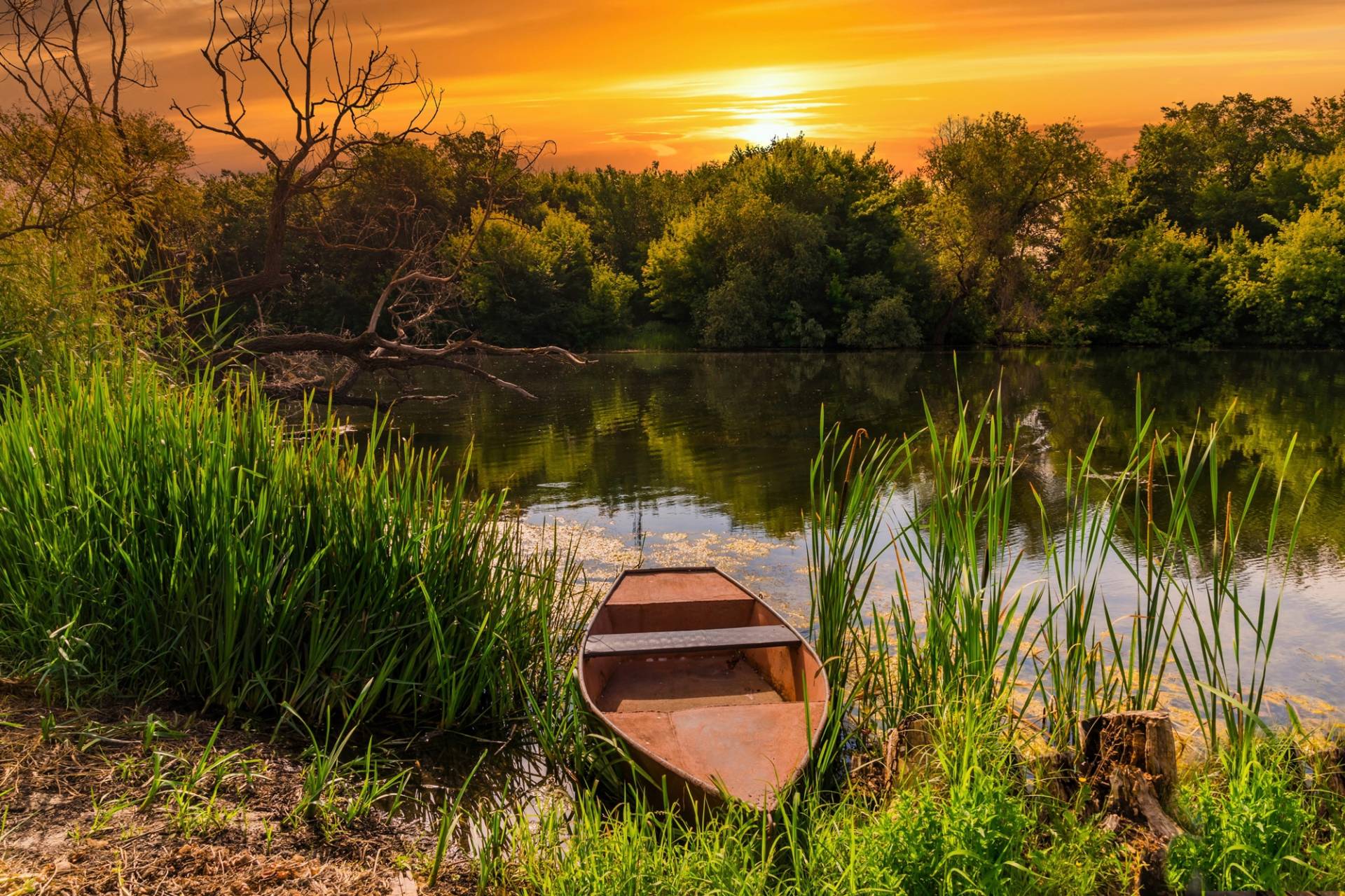 Papermoon Fototapete »STRAND-SEE BOOT WALD SONNENUNTERGANG BÄUME FLUSS IDYLLE« Papermoon Fototapete »STRAND-SEE BOOT WALD SONNENUNTERGANG BÄUME FLUSS IDYLLE« von Papermoon