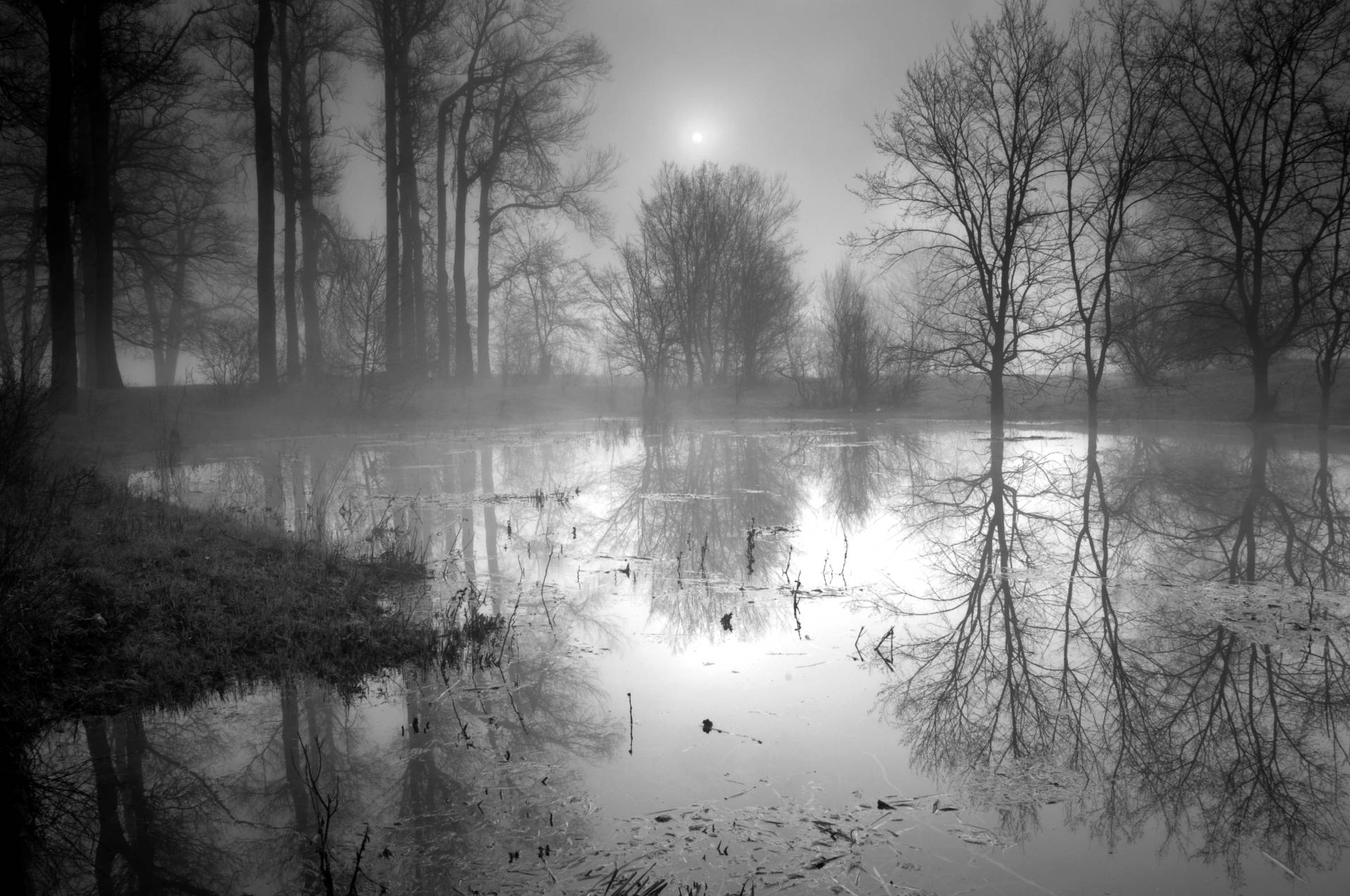 Papermoon Fototapete »See im Wald Schwarz & Weiss« Papermoon Fototapete »See im Wald Schwarz & Weiss« von Papermoon