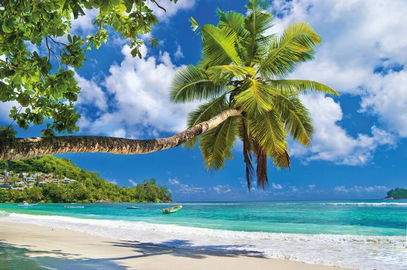Papermoon Fototapete »Seychelles Palm Beach« von Papermoon