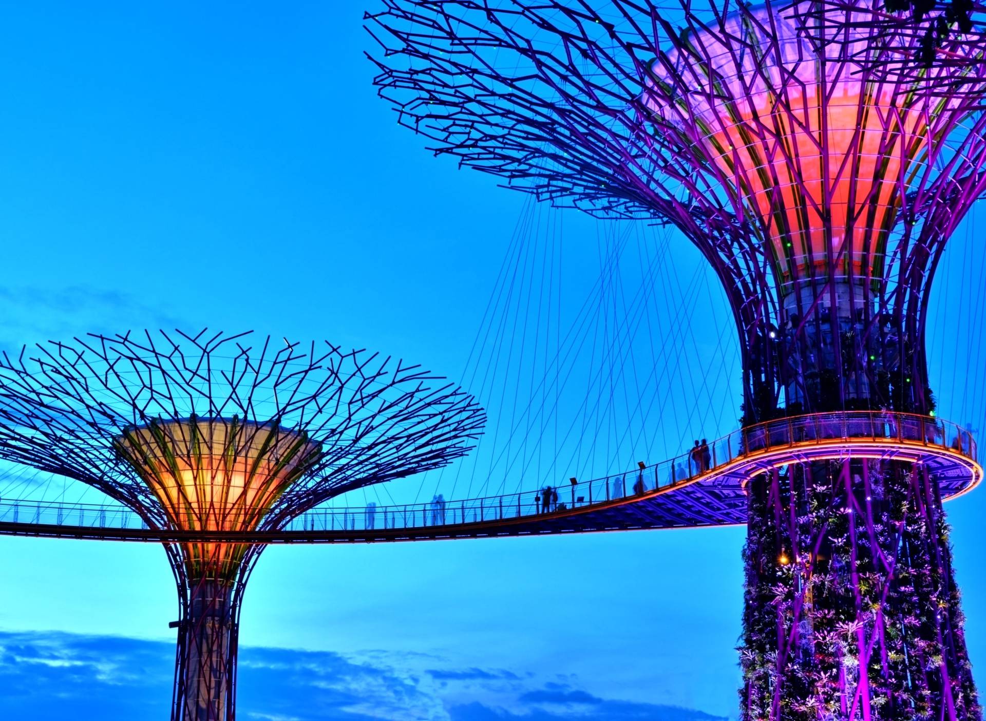 Papermoon Fototapete »Singapore Bay Supertrees« Papermoon Fototapete »Singapore Bay Supertrees« von Papermoon