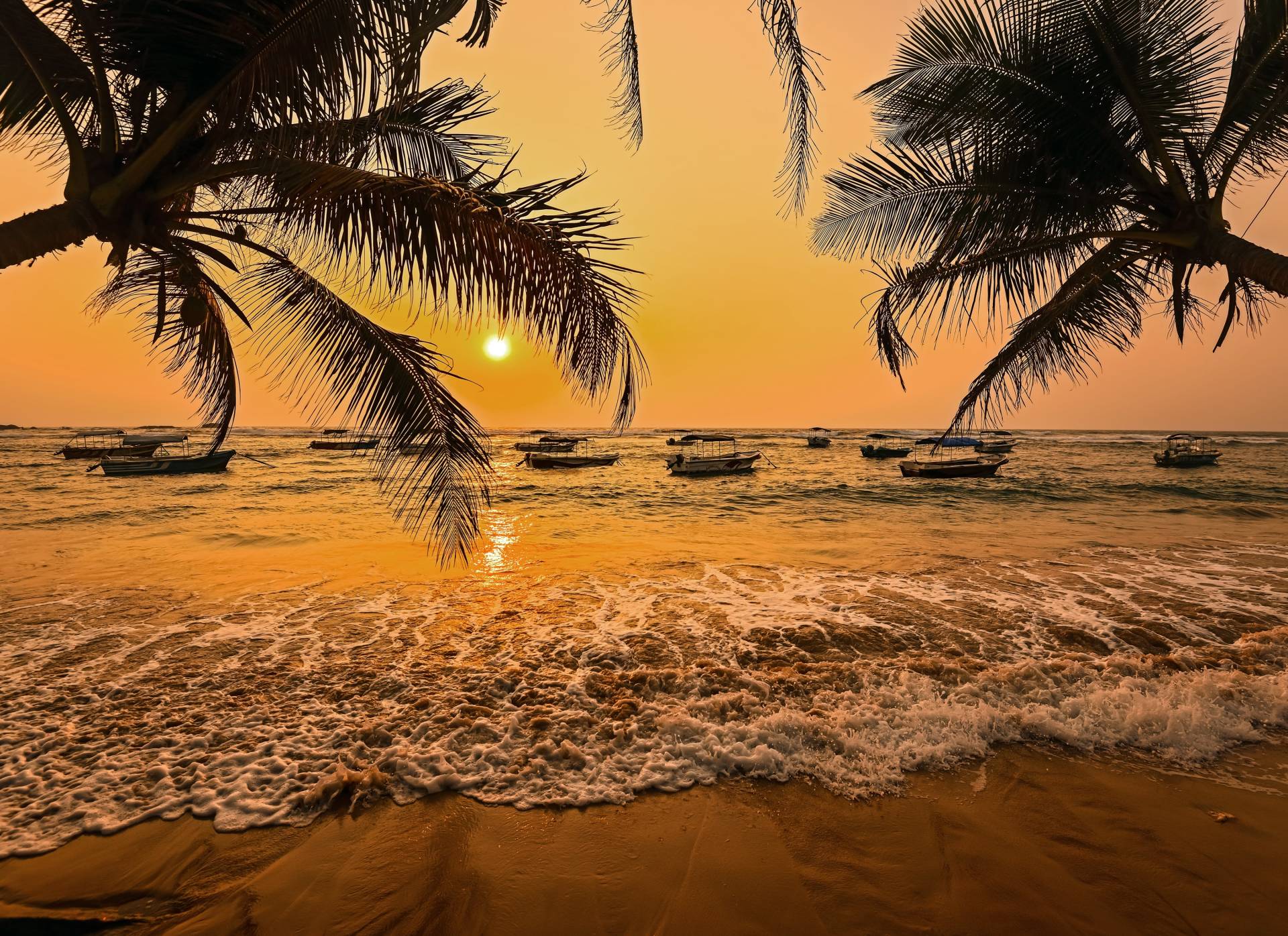 Papermoon Fototapete »Sri Lanka Palm Beach« von Papermoon