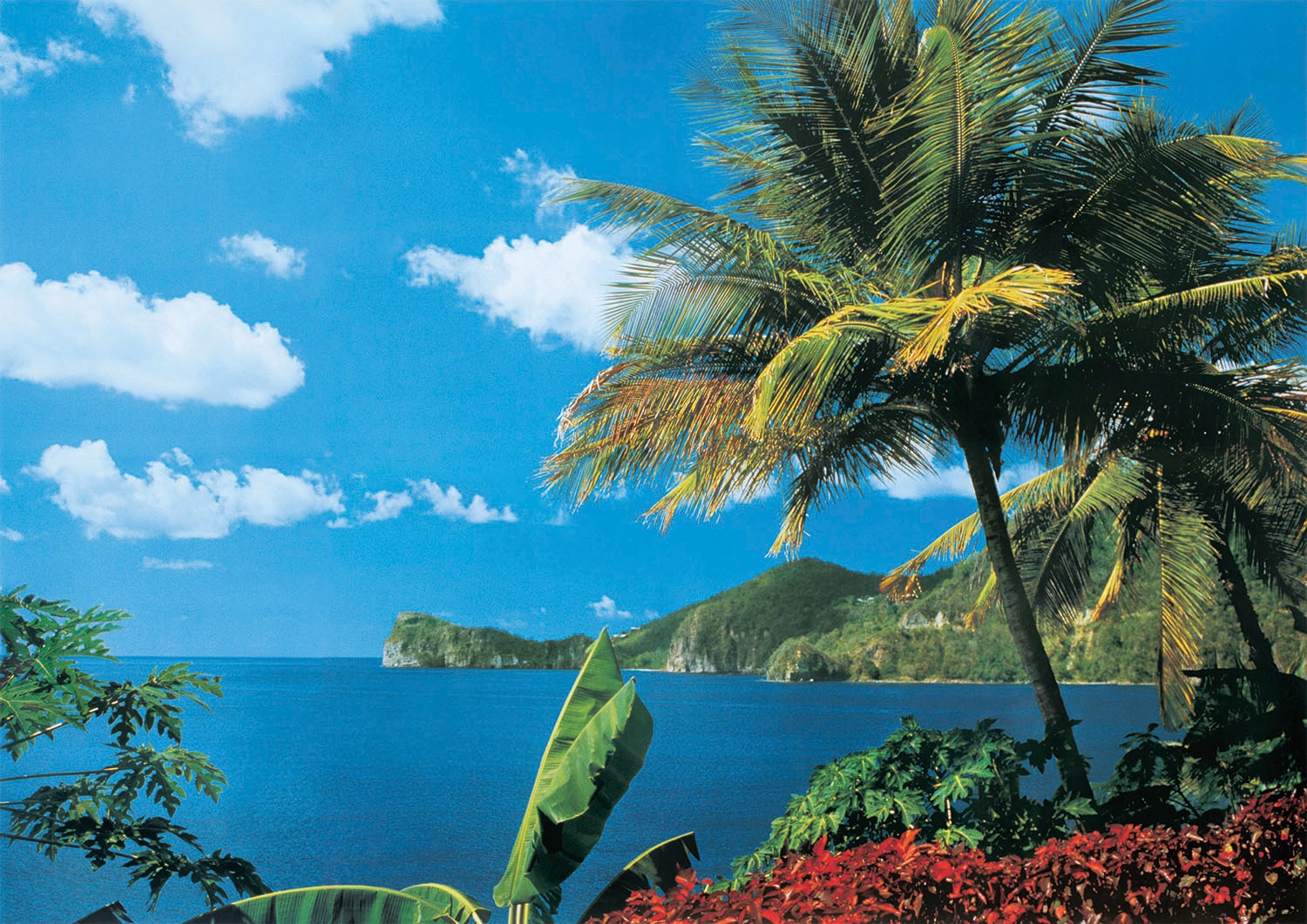 Papermoon Fototapete »St. Lucia« von Papermoon