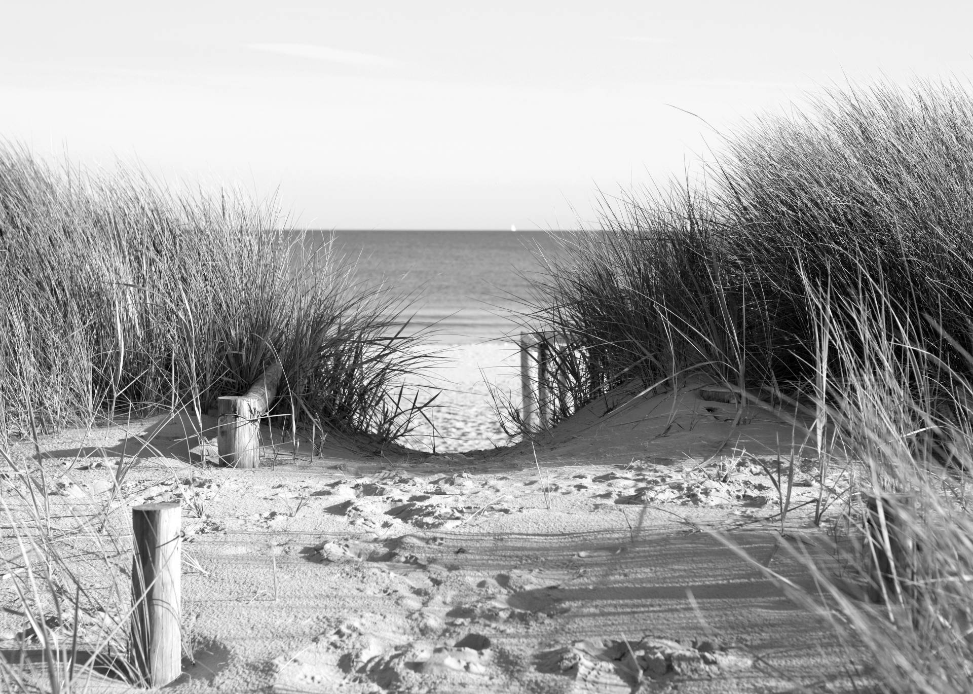 Papermoon Fototapete »Strand Schwarz & Weiss« von Papermoon