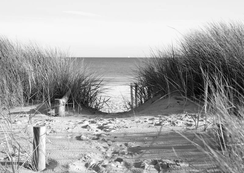 Papermoon Fototapete »Strand Schwarz & Weiss« von Papermoon