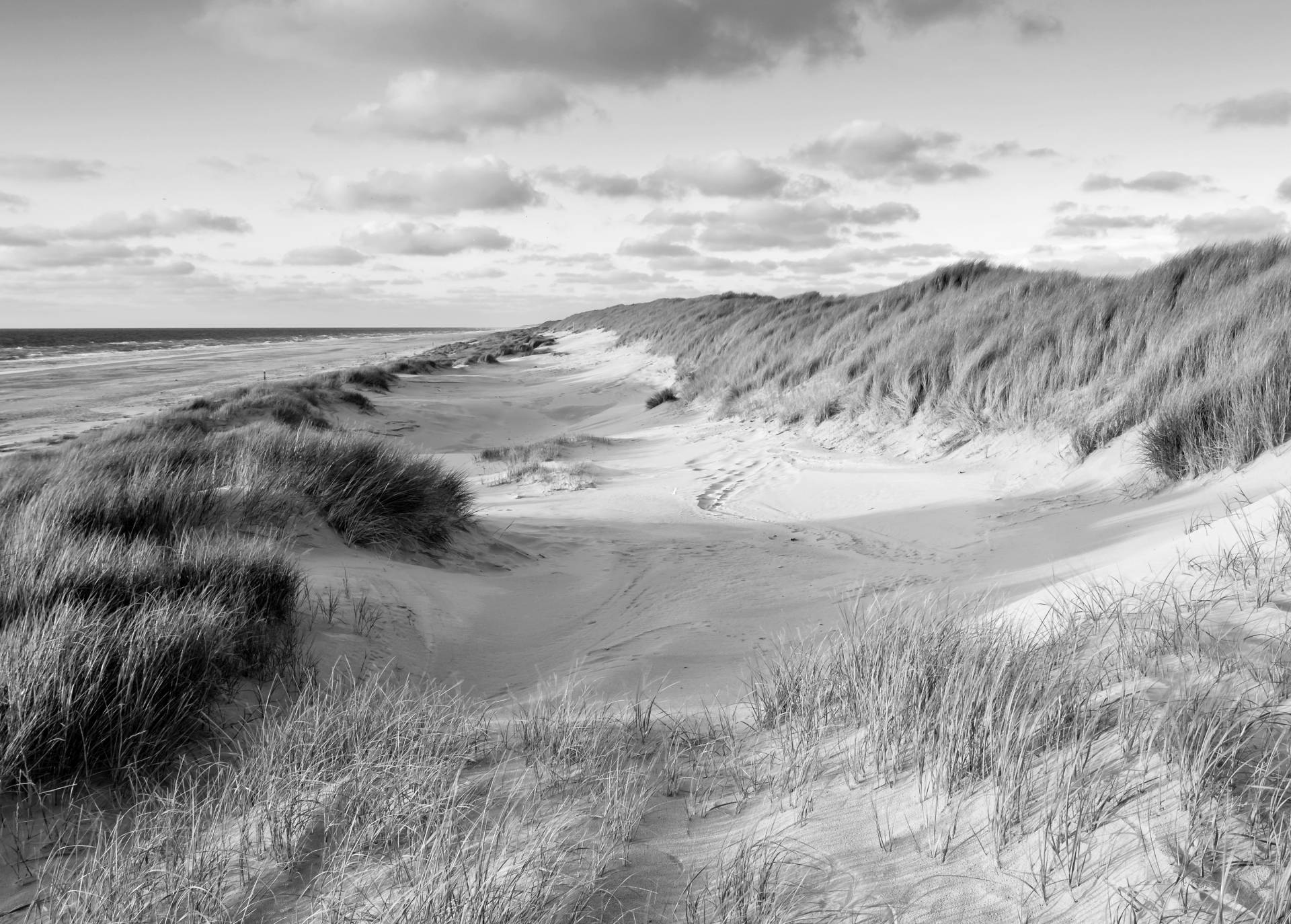 Papermoon Fototapete »Strand Schwarz & Weiss« Papermoon Fototapete »Strand Schwarz & Weiss« von Papermoon