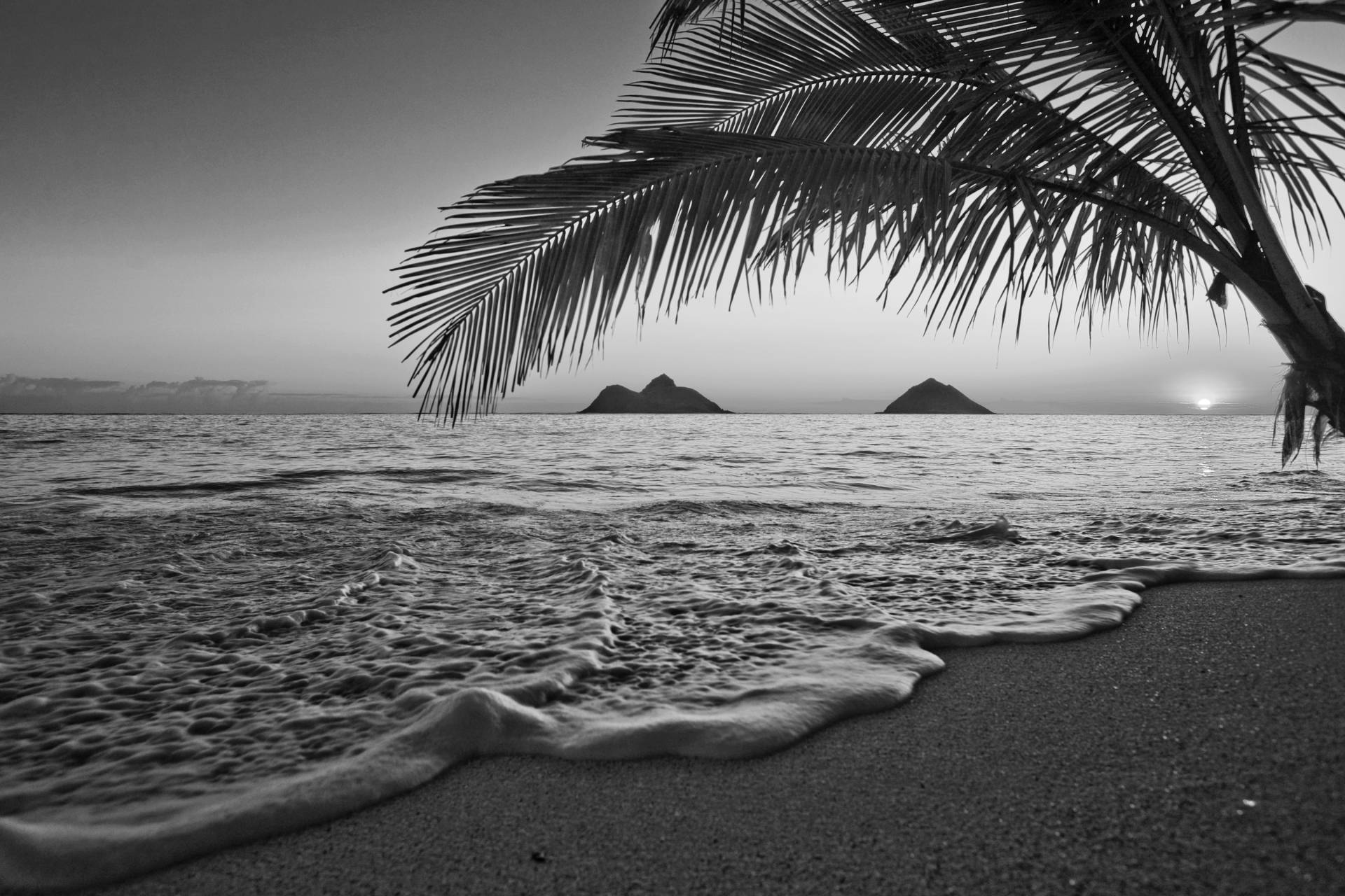 Papermoon Fototapete »Strand Schwarz & Weiss« Papermoon Fototapete »Strand Schwarz & Weiss« von Papermoon