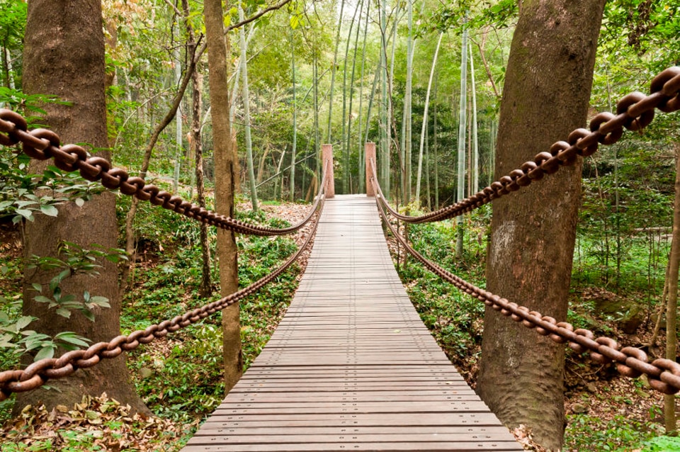 Papermoon Fototapete »Suspension Bridge« Papermoon Fototapete »Suspension Bridge« von Papermoon
