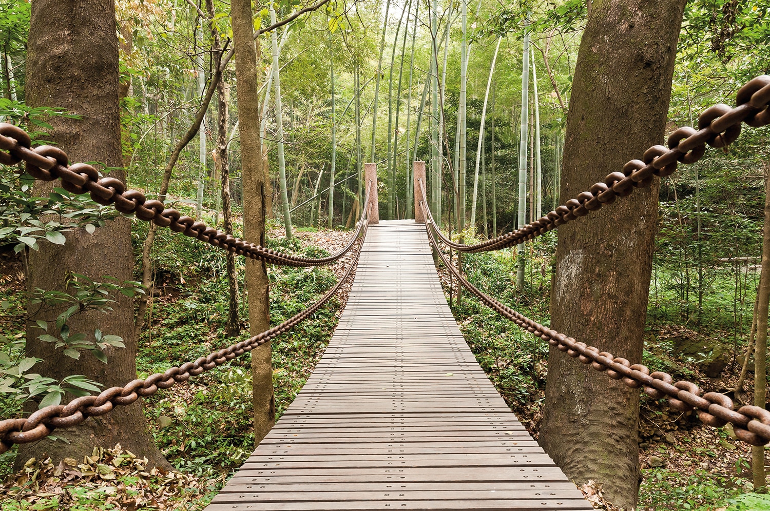 Papermoon Fototapete »Suspension Bridge« Papermoon Fototapete »Suspension Bridge« von Papermoon