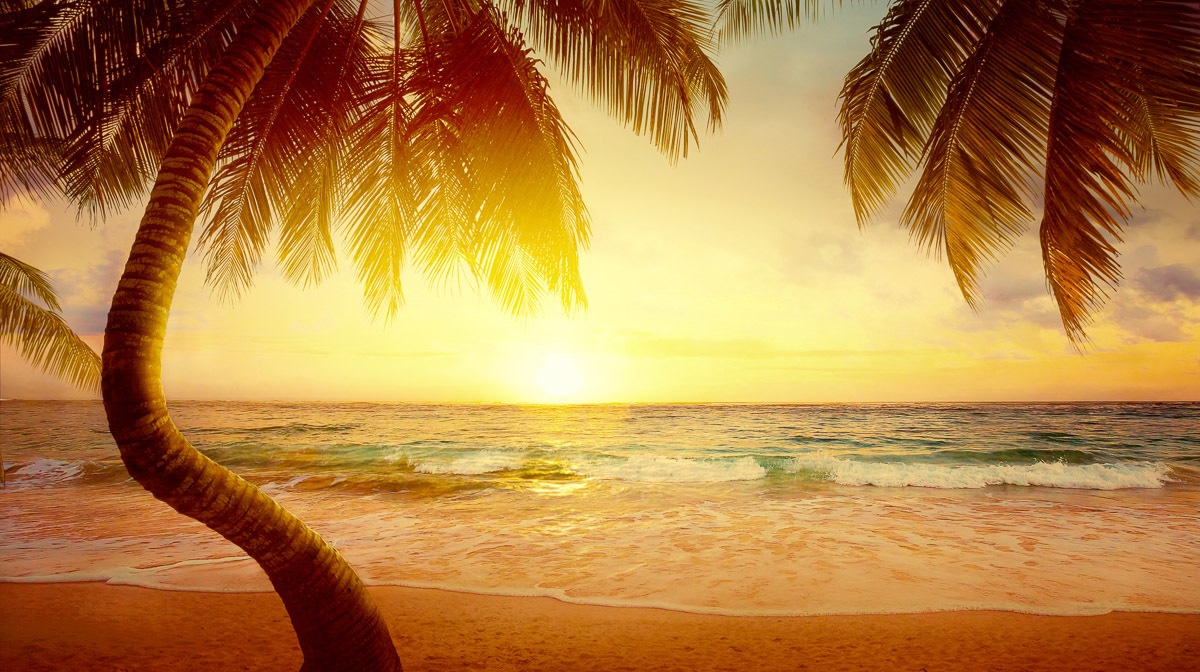 Papermoon Fototapete »Tropischer Strand Sonnenaufgang« von Papermoon