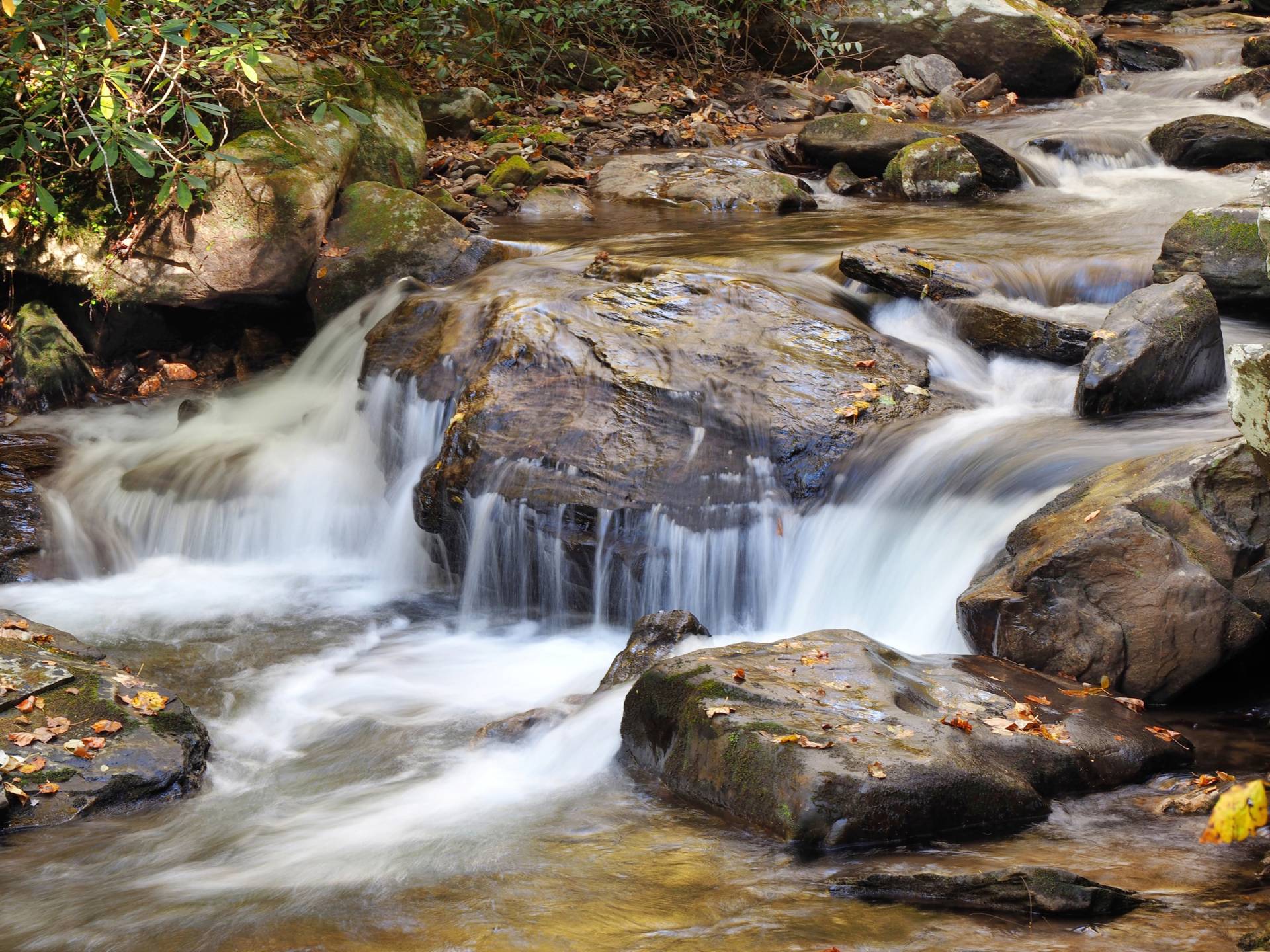Papermoon Fototapete »WASSERFALL-BÄUME FLUSS SEE STEINE BLUME WALD BACH SONNE« Papermoon Fototapete »WASSERFALL-BÄUME FLUSS SEE STEINE BLUME WALD BACH SONNE« von Papermoon