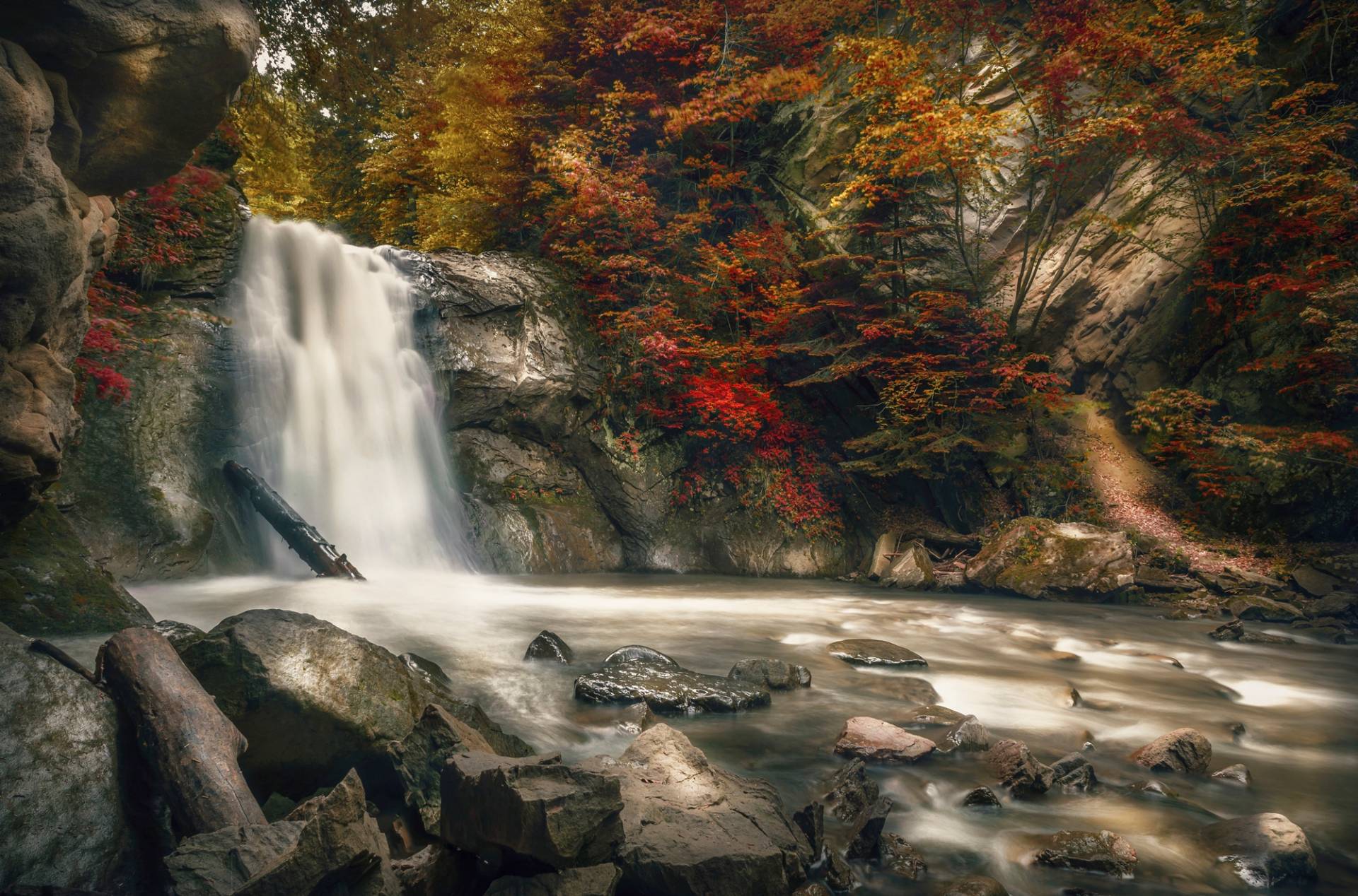 Papermoon Fototapete »WASSERFALL-HERBST WALD MEER FLUSS INSEL STEINE BÄUME« von Papermoon