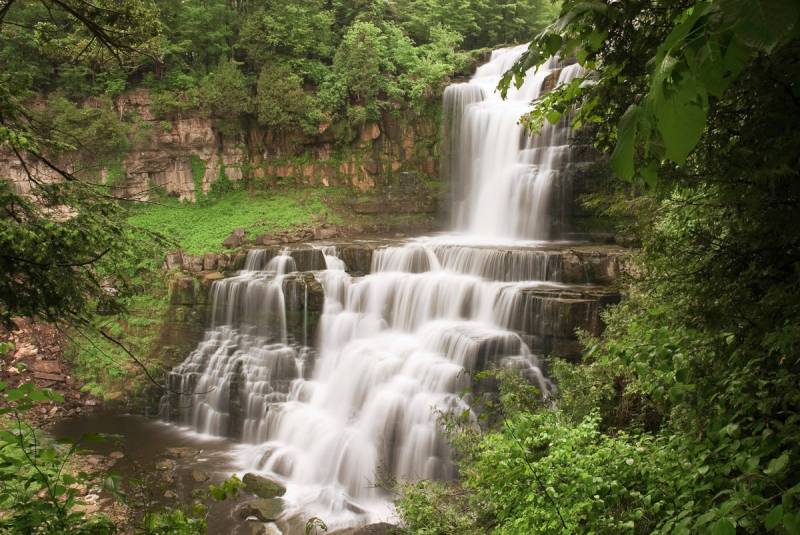 Papermoon Fototapete »Wasserfall im Wald« von Papermoon