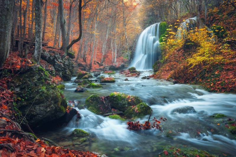 Papermoon Fototapete »Wasserfall im Wald« von Papermoon