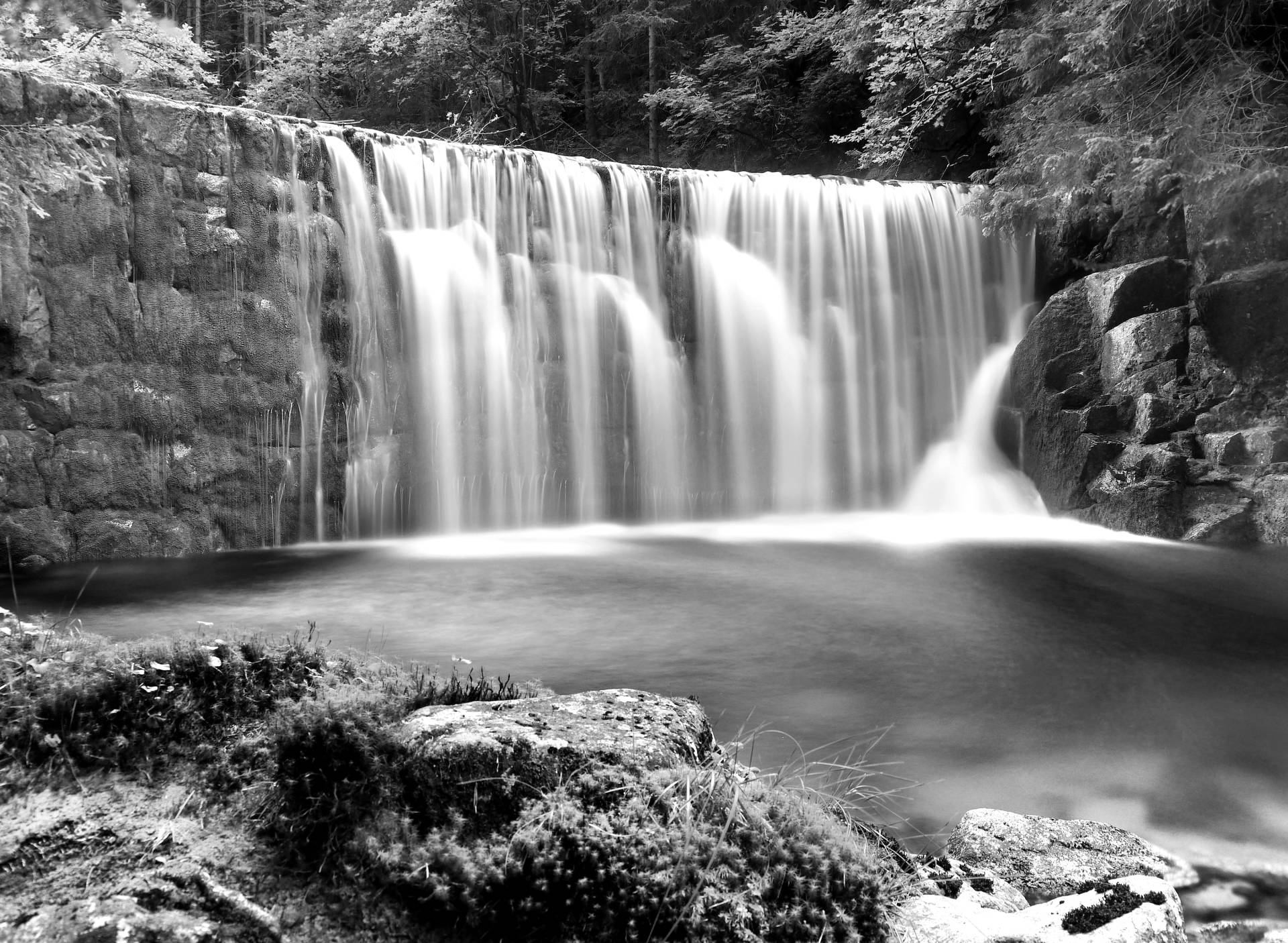 Papermoon Fototapete »Wasserfall im Wald Schwarz & Weiss« von Papermoon