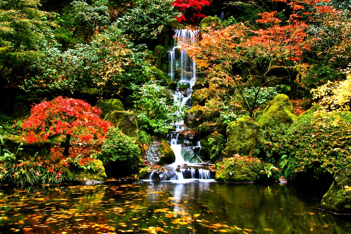 Papermoon Fototapete »Wasserfall in Japanischen garten« von Papermoon