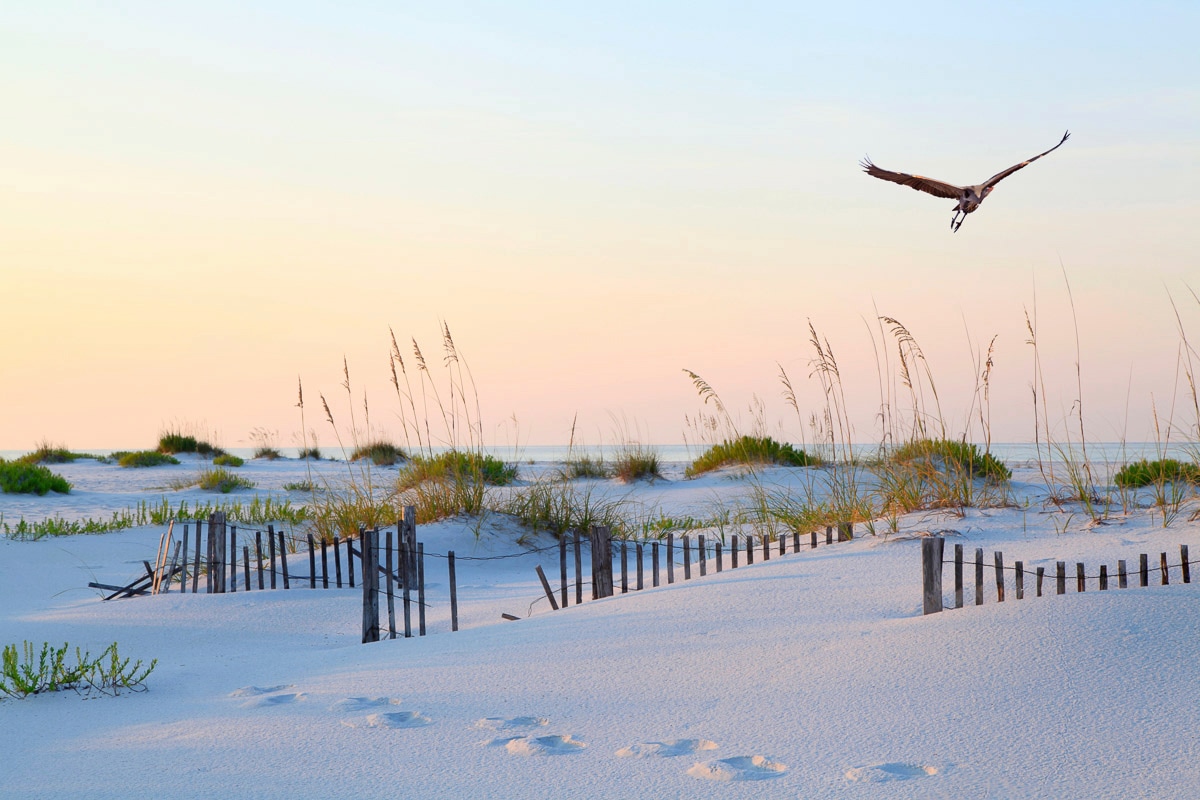 Papermoon Fototapete »Weisser Sand Florida Beach« von Papermoon