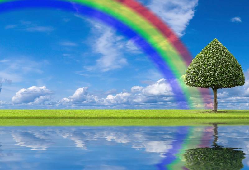 Papermoon Fototapete »regenbogen Wiese« von Papermoon
