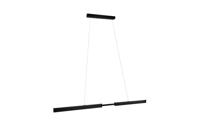 Paulmann LED Pendelleuchte »Aptare 2700 K«, 1 flammig von Paulmann