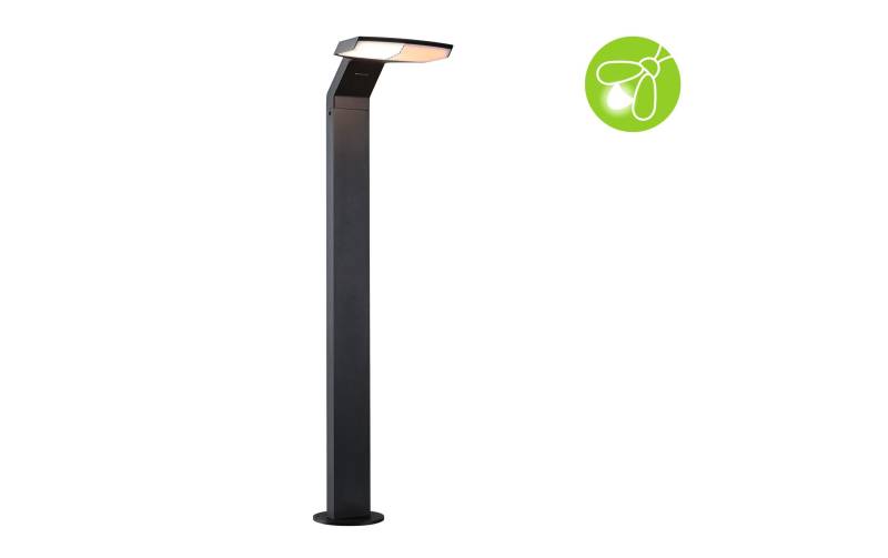 Paulmann LED Sockelleuchte »LED Zenera, 10W, 2200K« von Paulmann