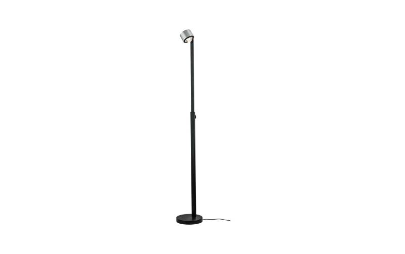 Paulmann LED Stehlampe »Aldan«, 2 flammig von Paulmann