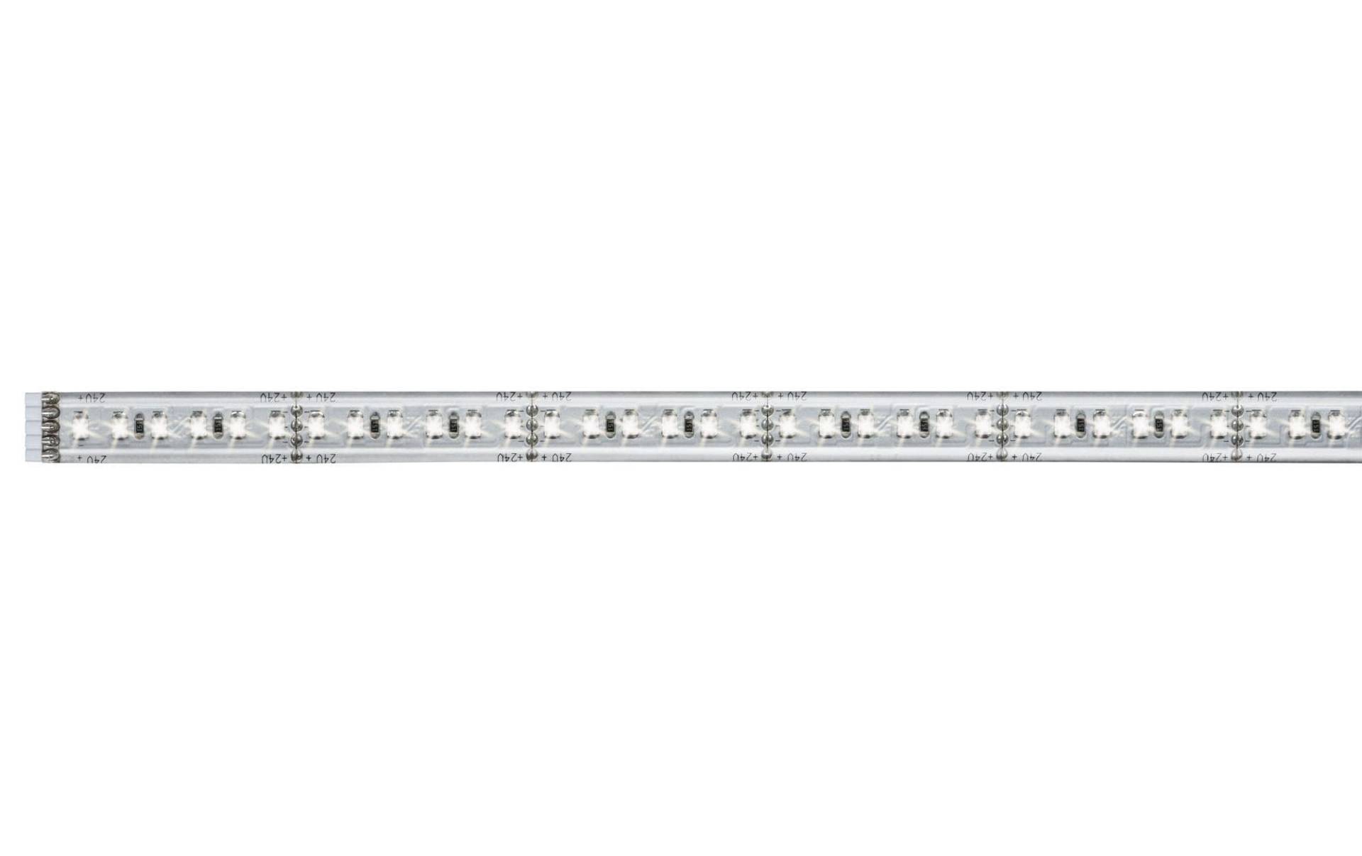 Paulmann LED-Streifen »MaxLED 1000 650«, 144 St.-flammig von Paulmann