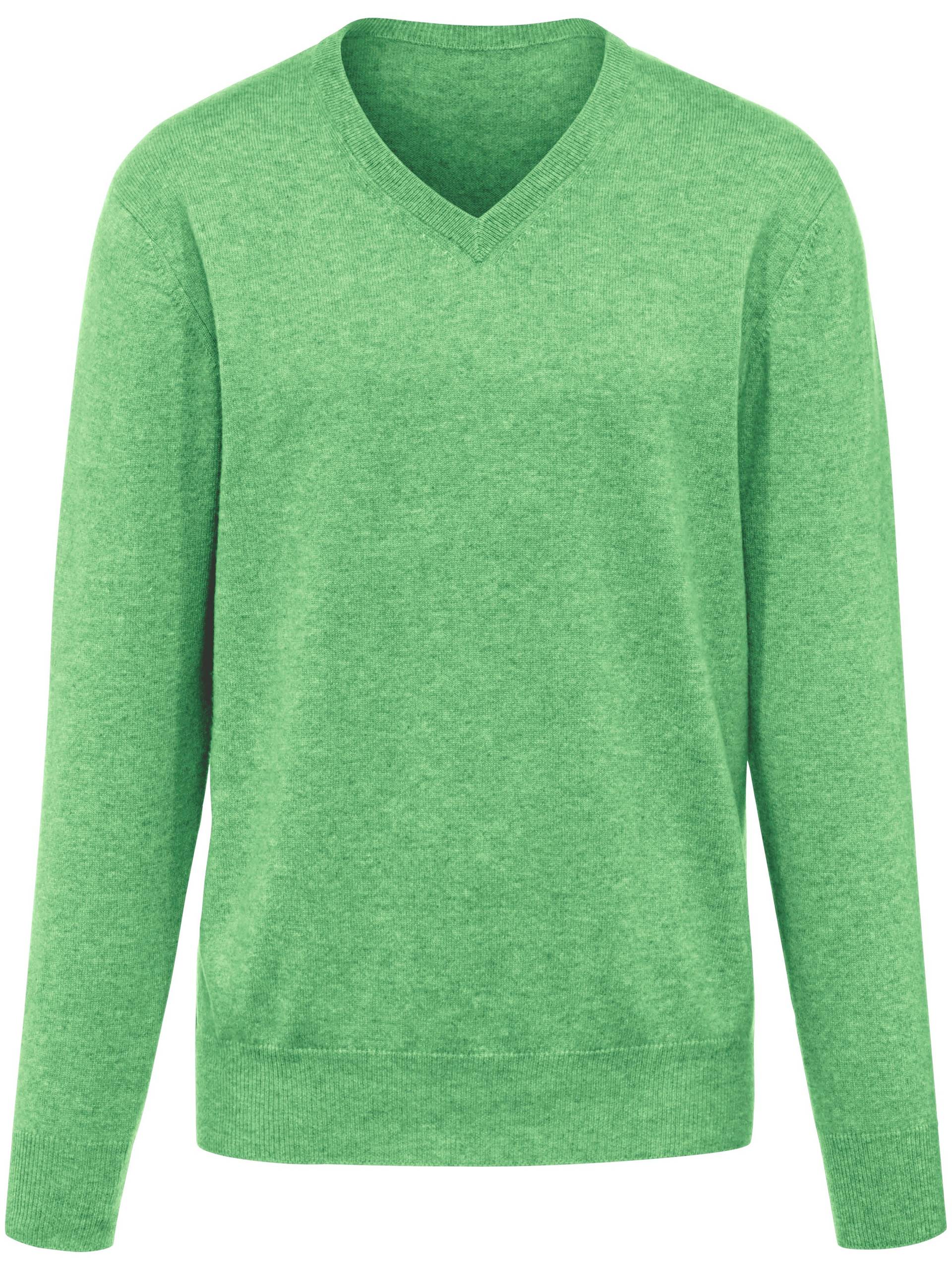 V-Pullover aus 100% Premium-Kaschmir Peter Hahn Cashmere grün Größe: 52 von Peter Hahn Cashmere