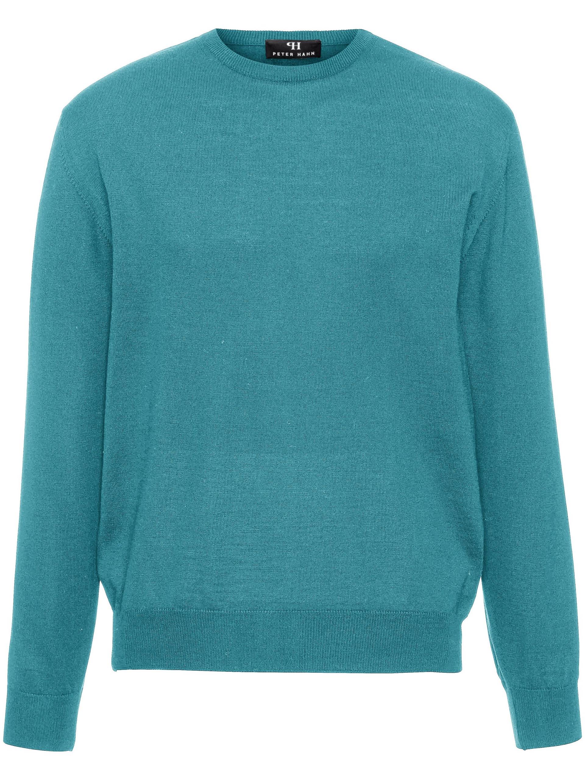 Pullover Clement aus 100% Schurwolle-Merino Peter Hahn blau Größe: 48 Pullover Clement aus 100% Schurwolle-Merino Peter Hahn blau Größe: 48 von Peter Hahn