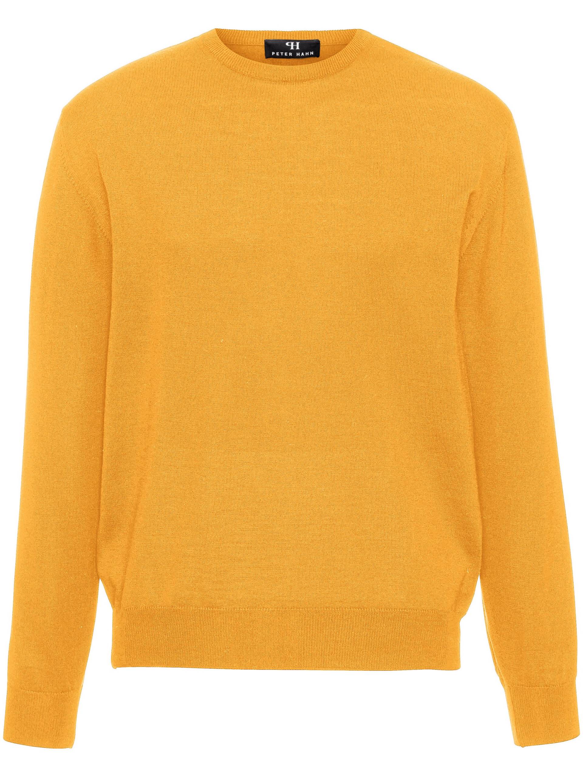 Pullover Clement aus 100% Schurwolle-Merino Peter Hahn gelb Größe: 48 Pullover Clement aus 100% Schurwolle-Merino Peter Hahn gelb Größe: 48 von Peter Hahn