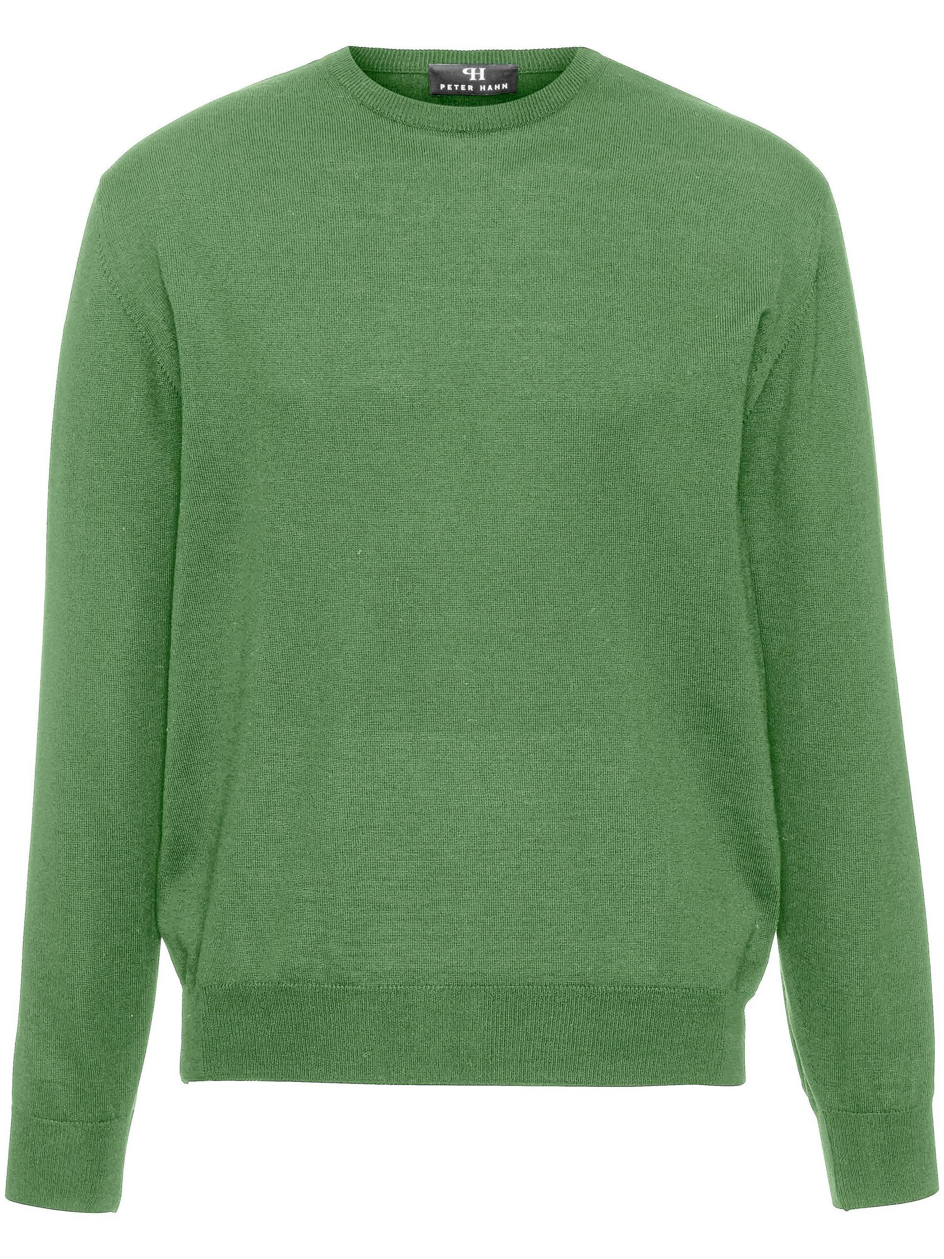 Pullover Clement aus 100% Schurwolle-Merino Peter Hahn grün Größe: 50 Pullover Clement aus 100% Schurwolle-Merino Peter Hahn grün Größe: 50 von Peter Hahn