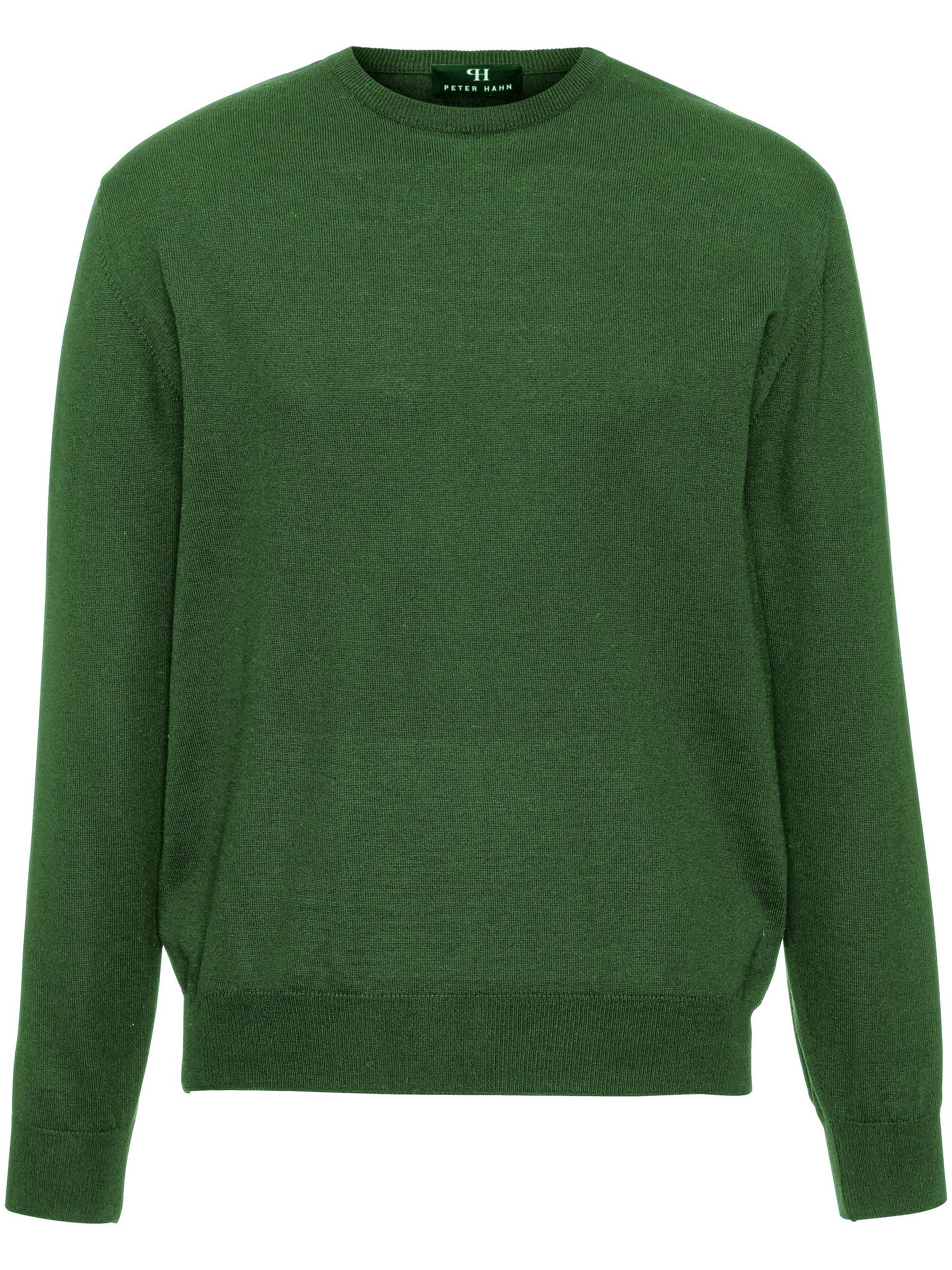 Pullover Clement aus 100% Schurwolle-Merino Peter Hahn grün Größe: 52 Pullover Clement aus 100% Schurwolle-Merino Peter Hahn grün Größe: 52 von Peter Hahn