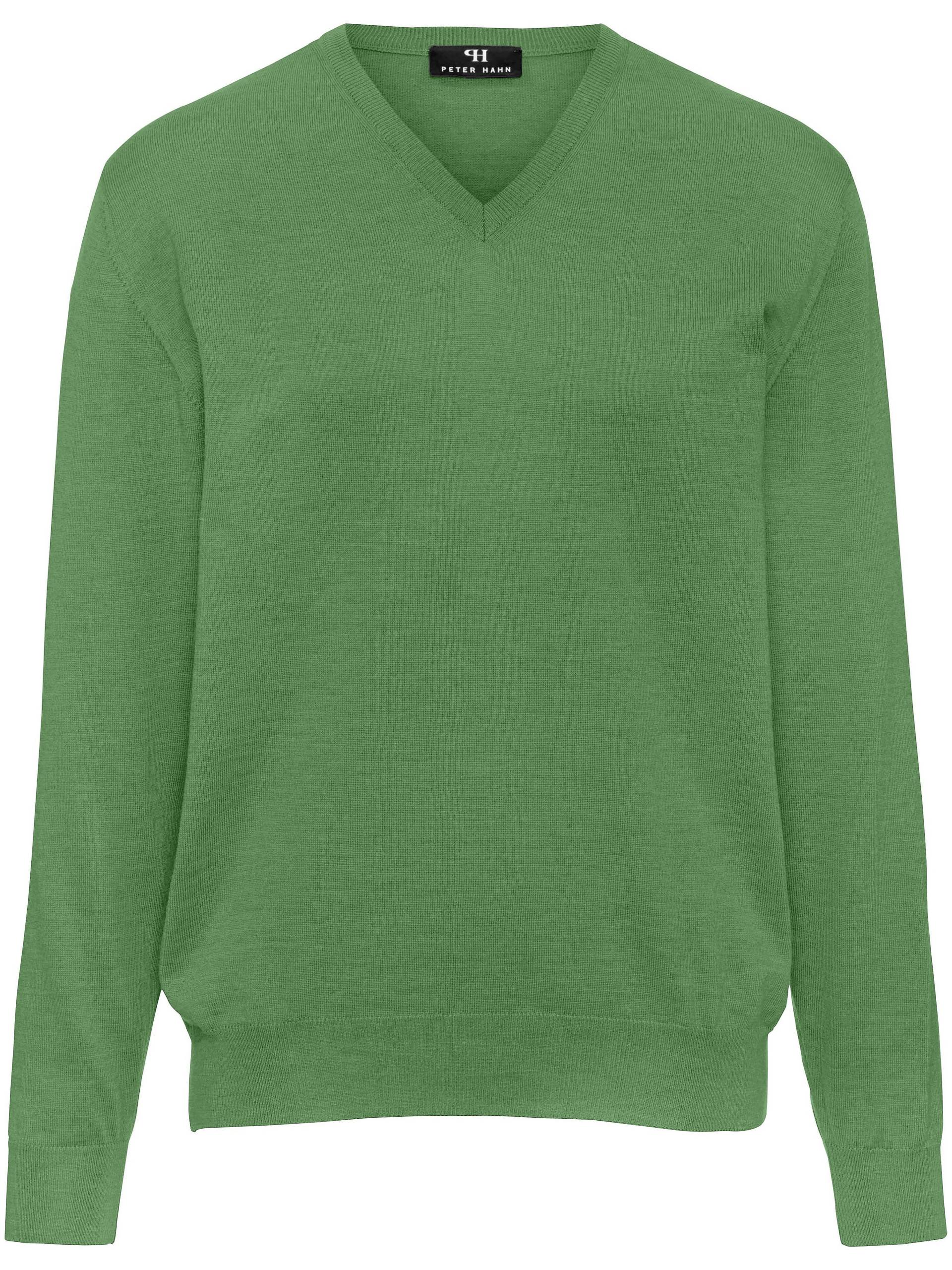 V-Pullover aus 100% Schurwolle-Merino extrafein Peter Hahn grün Größe: 54 V-Pullover aus 100% Schurwolle-Merino extrafein Peter Hahn grün Größe: 54 von Peter Hahn