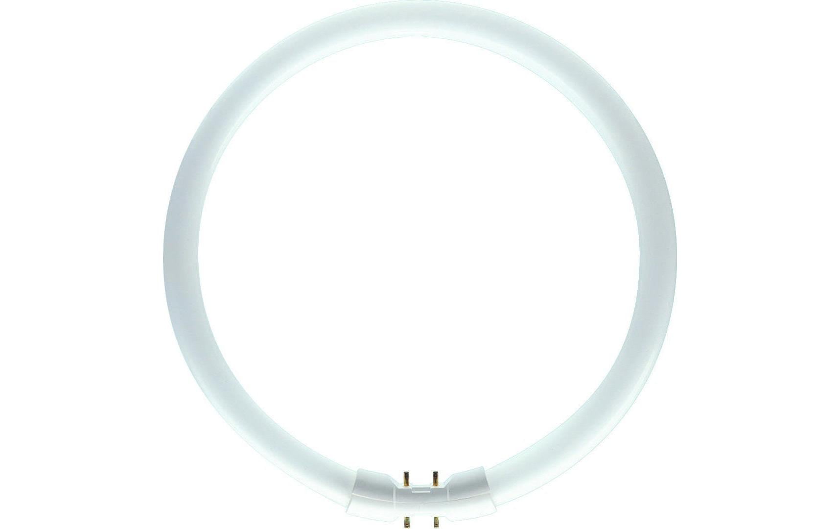 Philips LED-Leuchtmittel »TL5-Circular 55 W 2GX«, Neutralweiss Philips LED-Leuchtmittel »TL5-Circular 55 W 2GX«, Neutralweiss von Philips