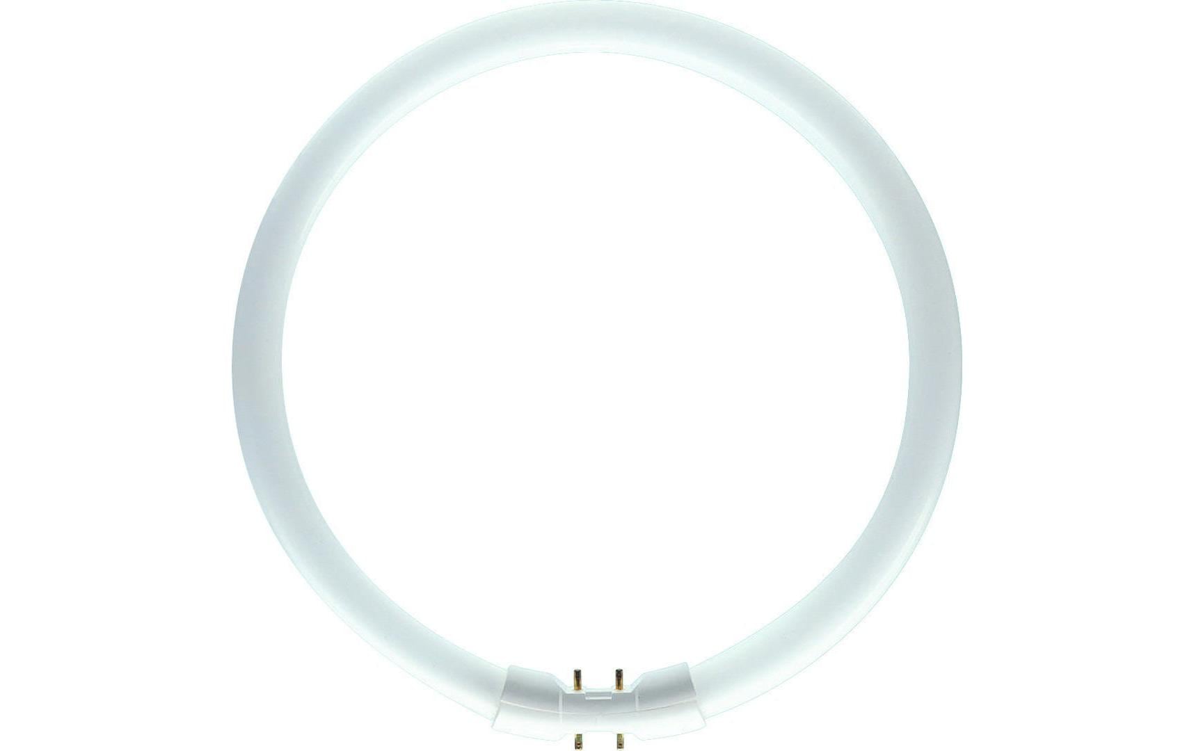 Philips LED-Leuchtmittel »TL5-Circular 55 W 2GX«, Neutralweiss von Philips