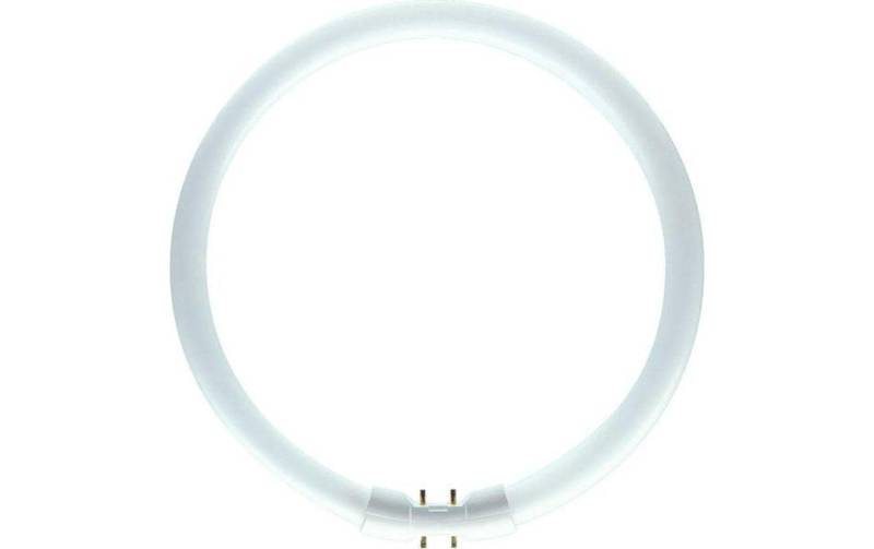 Philips Spezialleuchtmittel »Leuchtstofflam«, Warmweiss von Philips