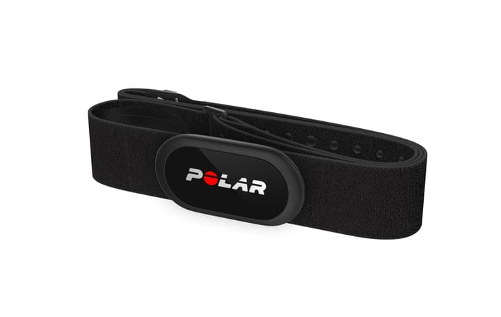 Polar H10 Brustgurt schwarz von Polar