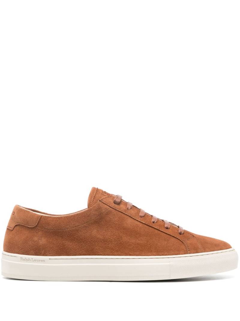 Polo Ralph Lauren Jermain Lux suede sneakers - Brown von Polo Ralph Lauren