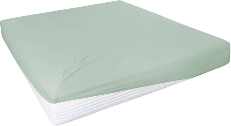 Primera Spannbettlaken »Elasthan-Feinjersey«, PREMIUM, aus 95% gekämmter Baumwolle und 5% Elasthan, bis 28 cm Höhe von Primera