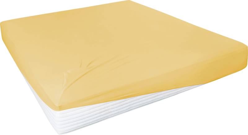 Primera Spannbettlaken »Elasthan-Feinjersey«, PREMIUM, aus 95% gekämmter Baumwolle und 5% Elasthan, bis 28 cm Höhe von Primera