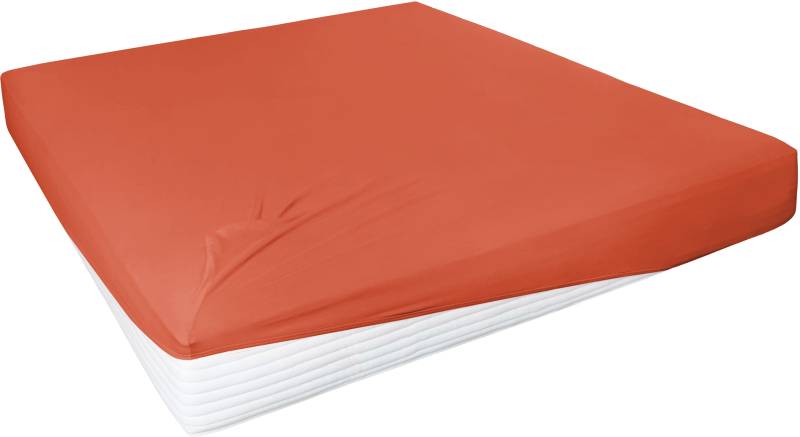 Primera Spannbettlaken »Elasthan-Feinjersey«, PREMIUM, aus 95% gekämmter Baumwolle und 5% Elasthan, bis 28 cm Höhe von Primera