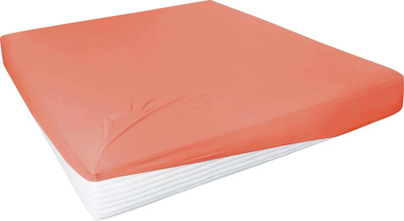 Primera Spannbettlaken »Elasthan-Feinjersey«, PREMIUM, aus 95% gekämmter Baumwolle und 5% Elasthan, bis 28 cm Höhe von Primera