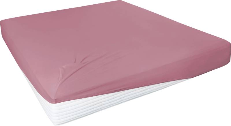 Primera Spannbettlaken »Elasthan-Feinjersey«, PREMIUM, aus 95% gekämmter Baumwolle und 5% Elasthan, bis 28 cm Höhe von Primera