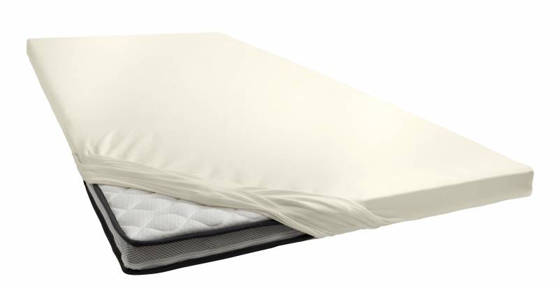 Primera Spannbettlaken »Elasthan-Feinjersey Topper«, Aus 95% gekämmter Baumwolle und 5% Elastan von Primera