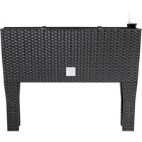 Hochbeet Polyrattanoptik Anthrazit 60x25x46cm Bewässerungssystem von Deuba®