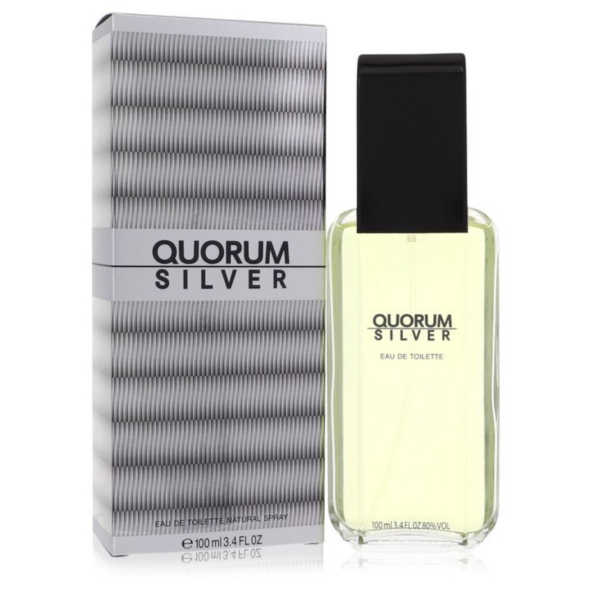 Puig Quorum Silver Eau De Toilette Spray 100 ml von Puig