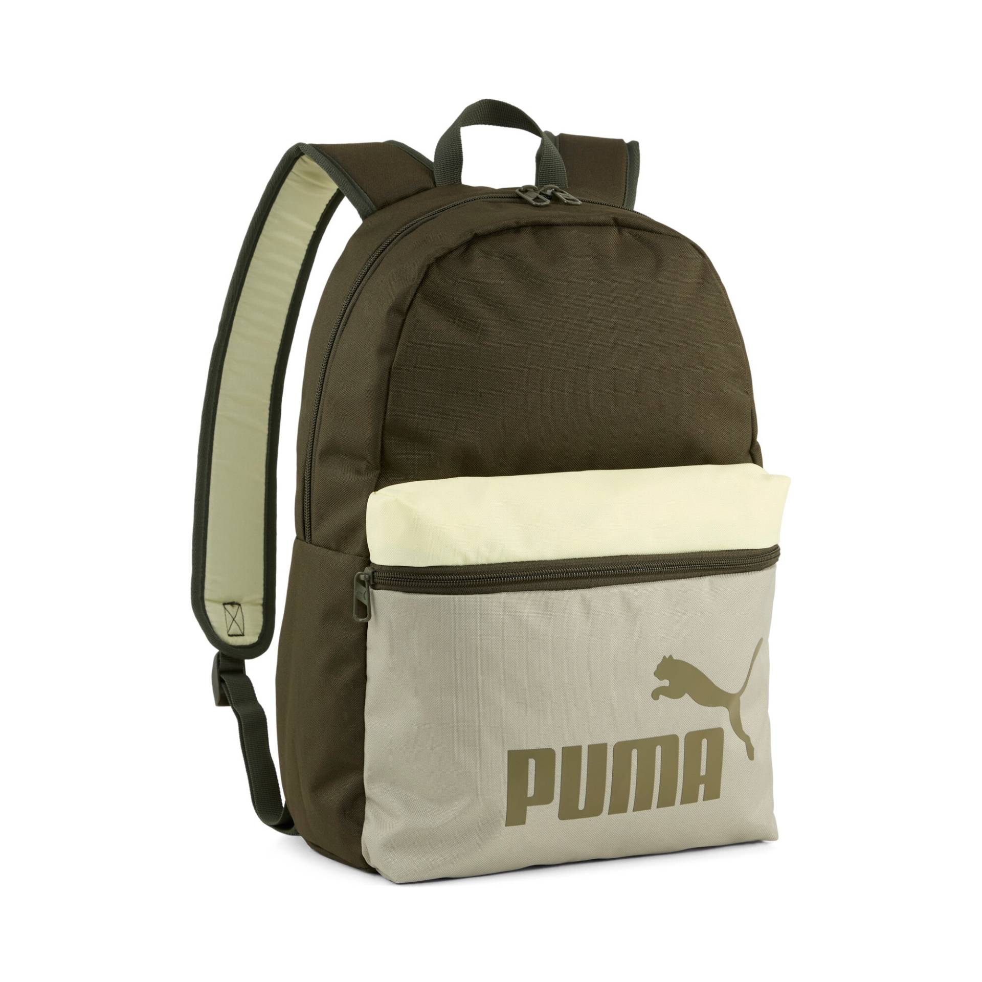 PUMA Rucksack »PHASE COLOR BLOCK BACKPACK« von Puma