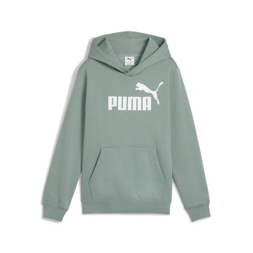 Puma ESS No. 1 Logo Hoodie FL B - green moon (Grösse: 164) von Puma